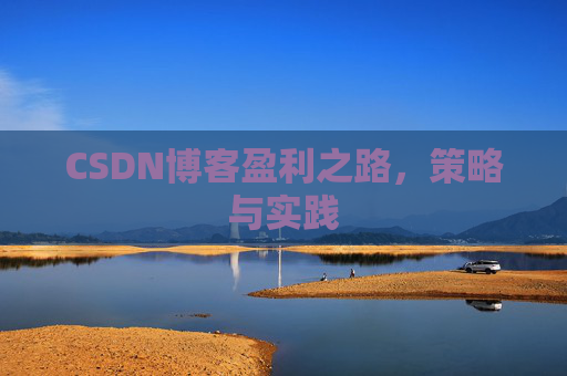 CSDN博客盈利之路，策略与实践